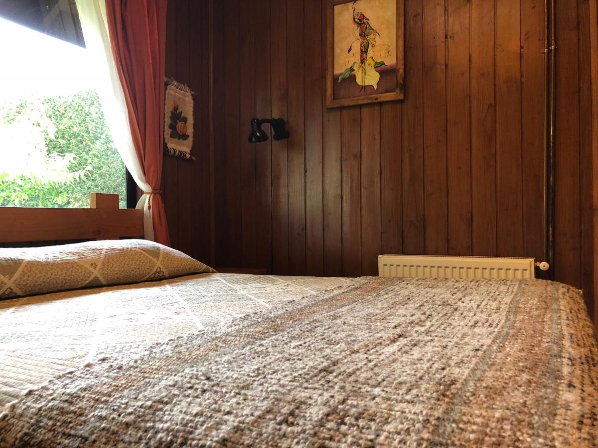 Hostal El Nogal Pucón Eksteriør billede