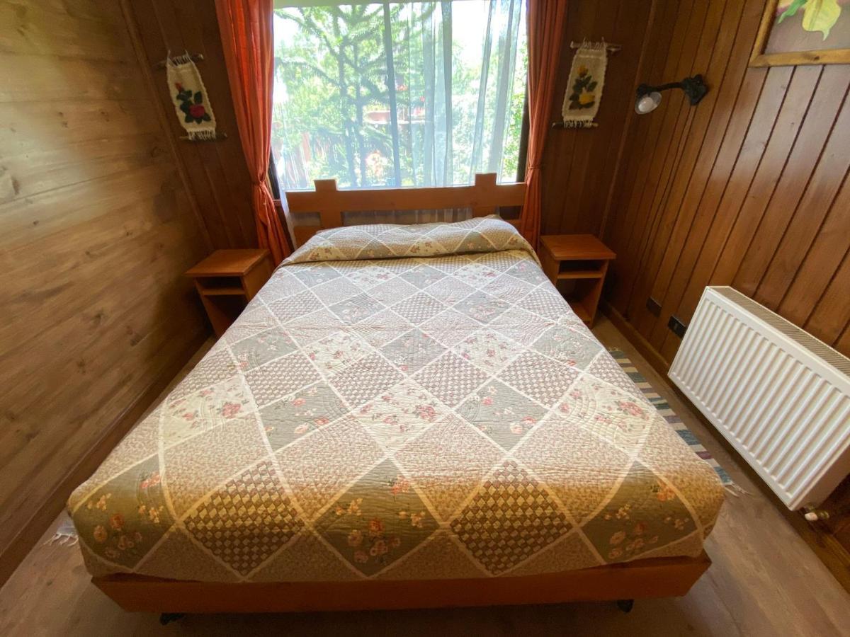 Hostal El Nogal Pucón Eksteriør billede