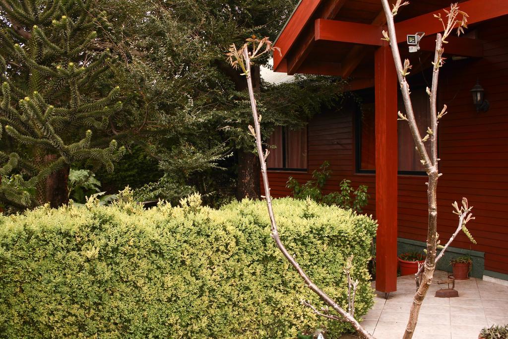 Hostal El Nogal Pucón Eksteriør billede