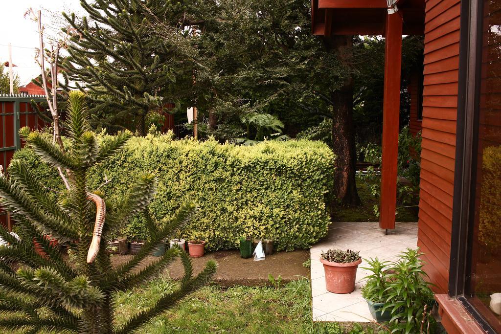 Hostal El Nogal Pucón Eksteriør billede